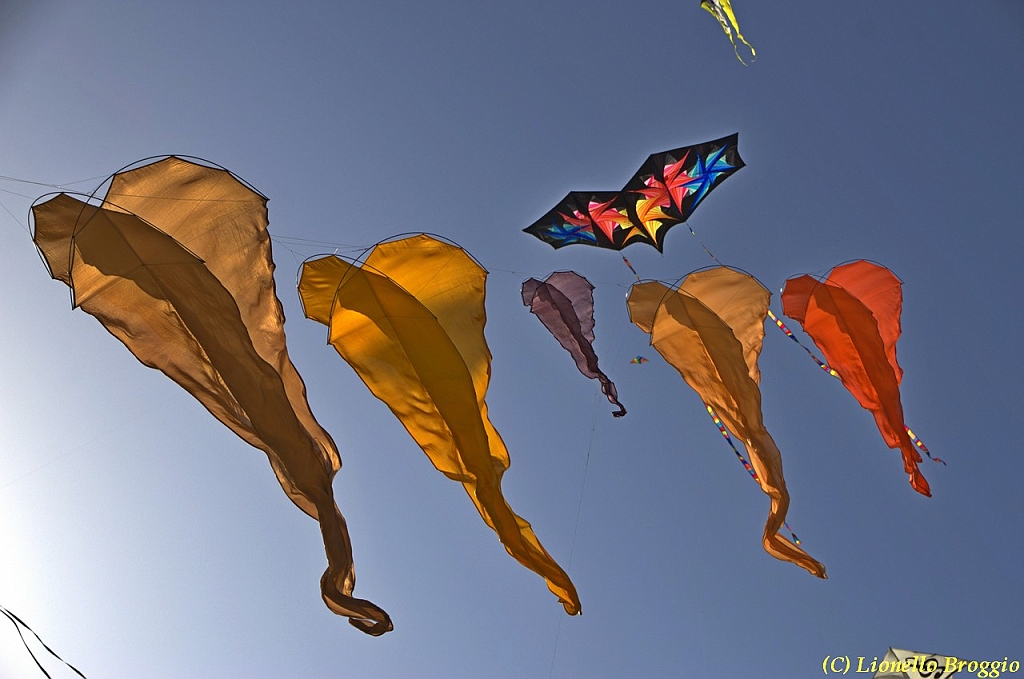 32 FESTIVAL CERVIA 2012 - 068.jpg